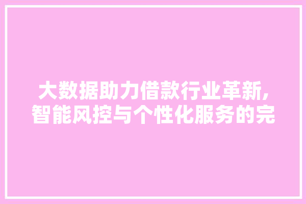 大数据助力借款行业革新,智能风控与个性化服务的完美融合