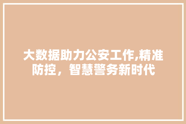 大数据助力公安工作,精准防控，智慧警务新时代