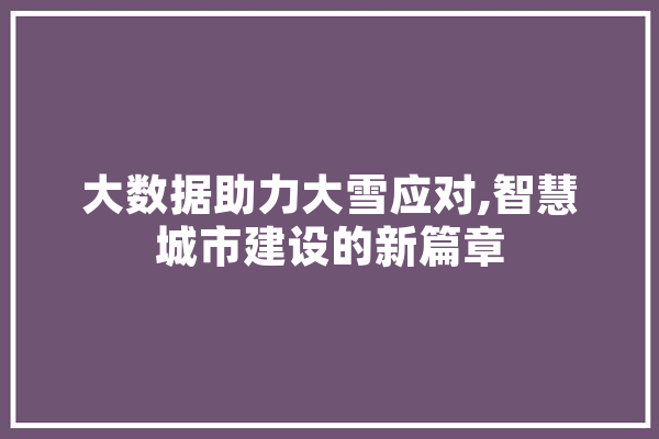 大数据助力大雪应对,智慧城市建设的新篇章