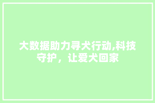 大数据助力寻犬行动,科技守护，让爱犬回家