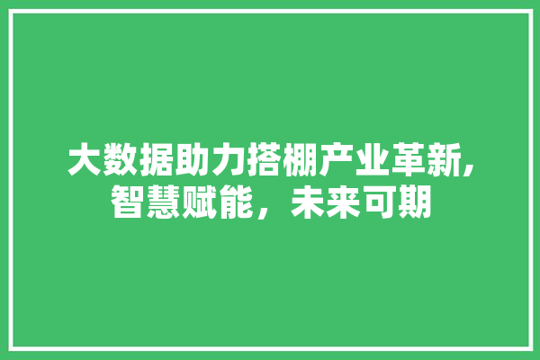 大数据助力搭棚产业革新,智慧赋能，未来可期 文字写作