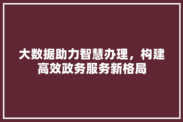 大数据助力智慧办理，构建高效政务服务新格局