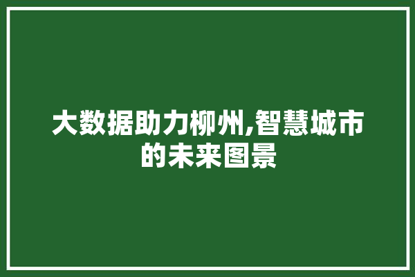 大数据助力柳州,智慧城市的未来图景