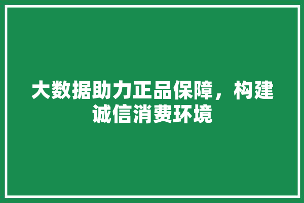 大数据助力正品保障，构建诚信消费环境