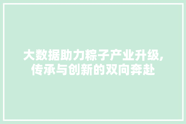 大数据助力粽子产业升级,传承与创新的双向奔赴