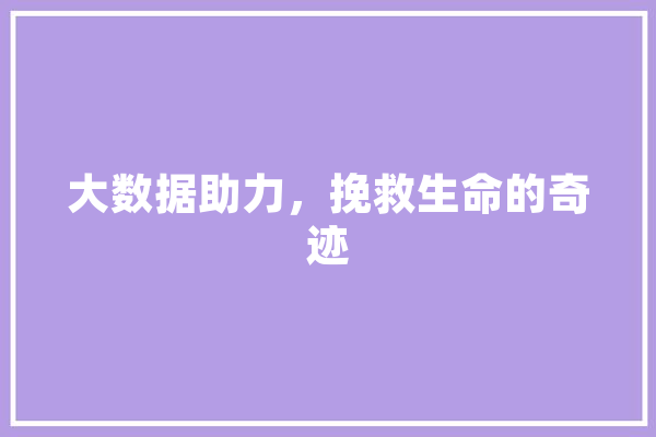 大数据助力，挽救生命的奇迹 绘影字幕
