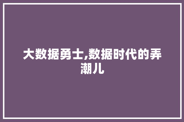 大数据勇士,数据时代的弄潮儿