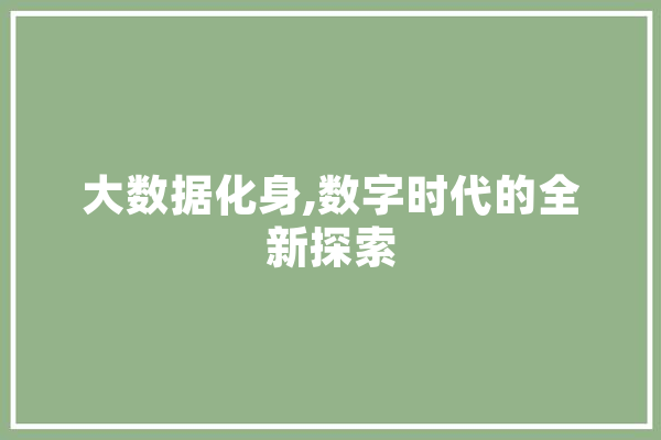大数据化身,数字时代的全新探索 文字写作