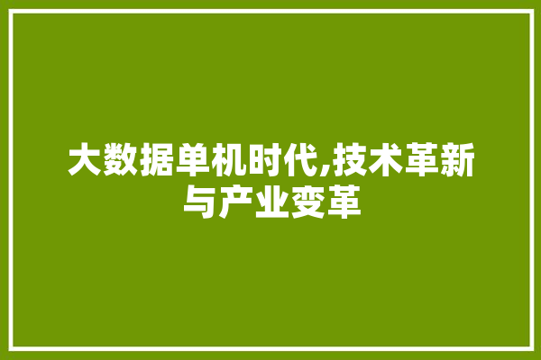 大数据单机时代,技术革新与产业变革 AI简讯
