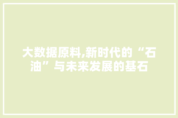 大数据原料,新时代的“石油”与未来发展的基石