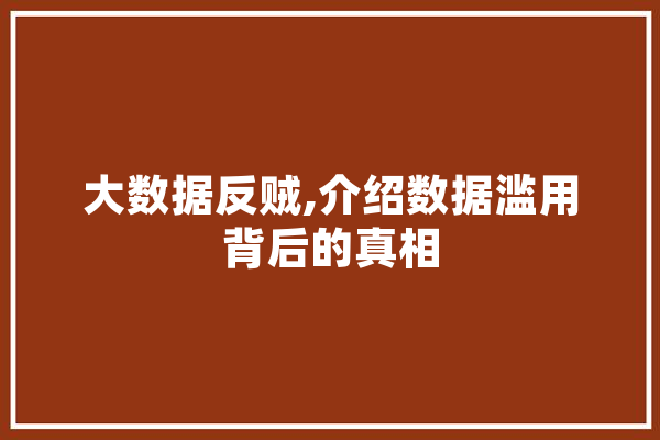 大数据反贼,介绍数据滥用背后的真相 文字写作