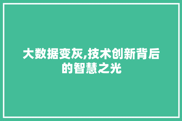 大数据变灰,技术创新背后的智慧之光