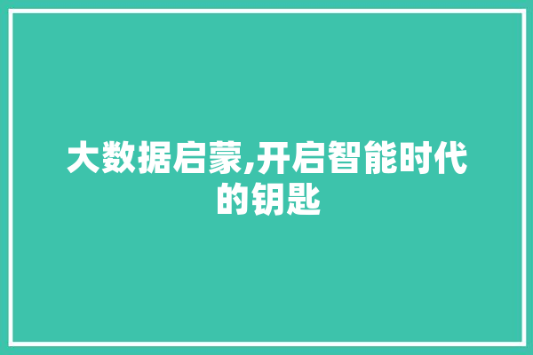 大数据启蒙,开启智能时代的钥匙 文字写作