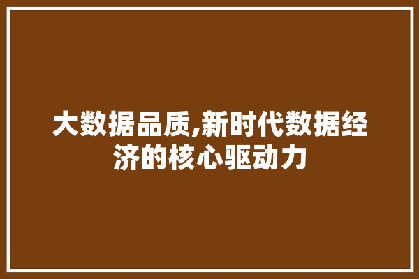 大数据品质,新时代数据经济的核心驱动力