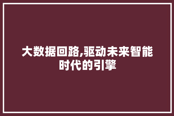 大数据回路,驱动未来智能时代的引擎 科技快讯