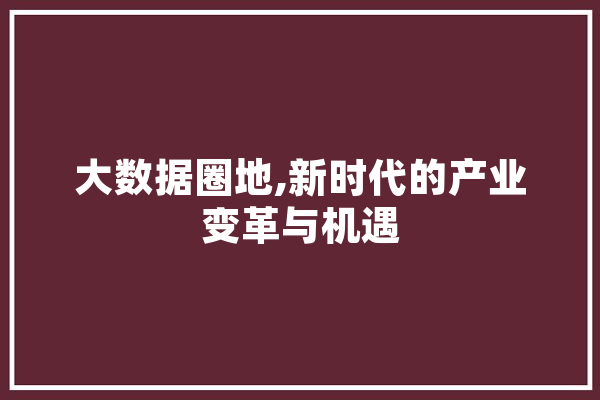 大数据圈地,新时代的产业变革与机遇 绘影字幕