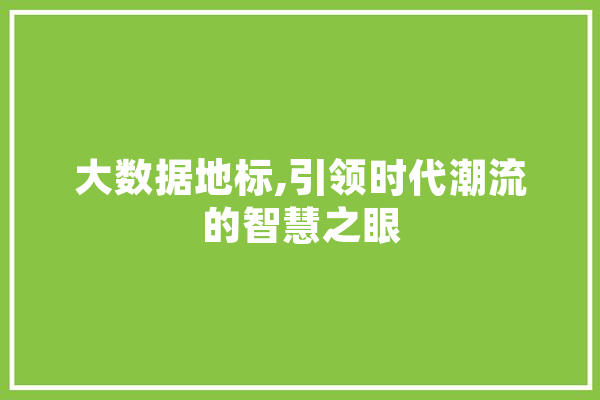 大数据地标,引领时代潮流的智慧之眼 智能写作