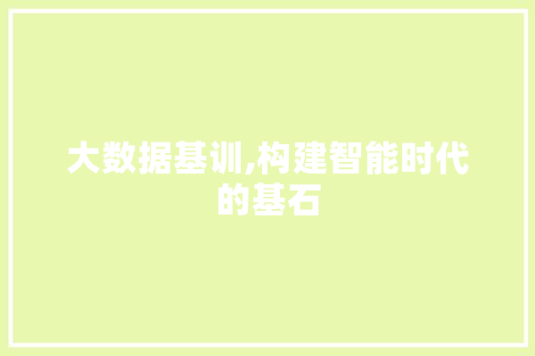大数据基训,构建智能时代的基石