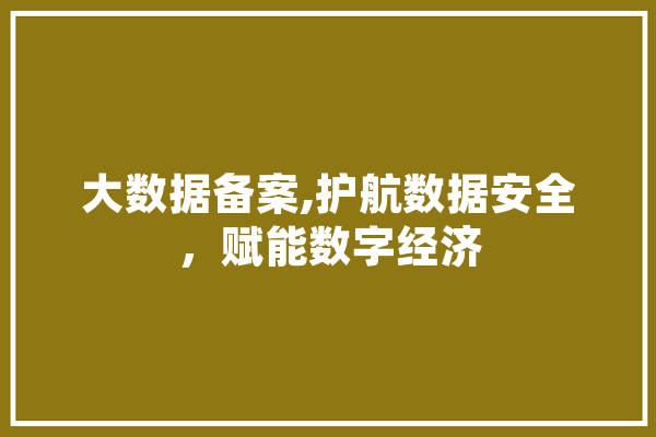 大数据备案,护航数据安全，赋能数字经济 智能写作