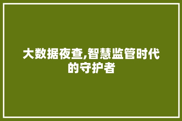 大数据夜查,智慧监管时代的守护者 智能写作
