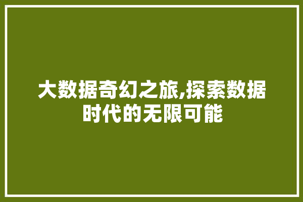 大数据奇幻之旅,探索数据时代的无限可能