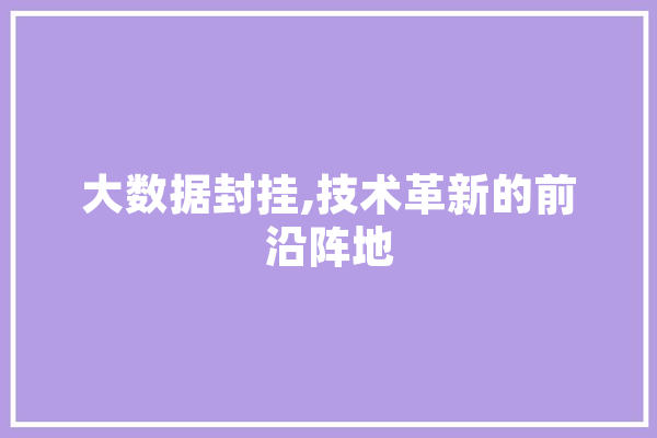 大数据封挂,技术革新的前沿阵地
