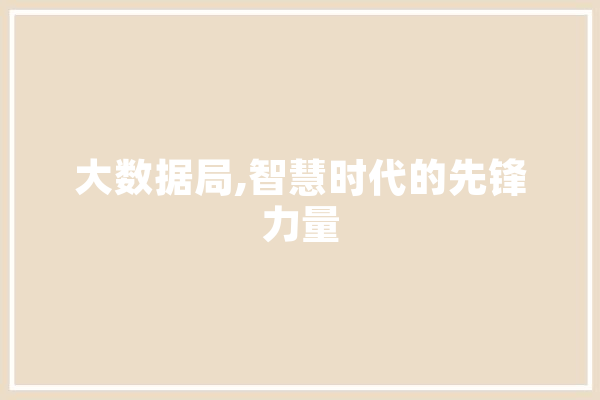 大数据局,智慧时代的先锋力量 科技快讯