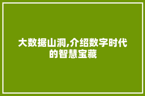大数据山洞,介绍数字时代的智慧宝藏