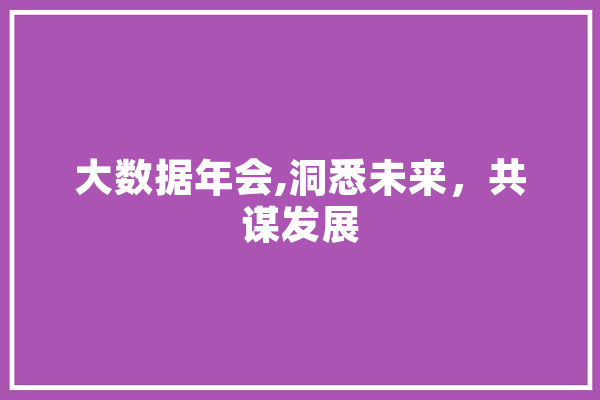 大数据年会,洞悉未来，共谋发展 文字写作