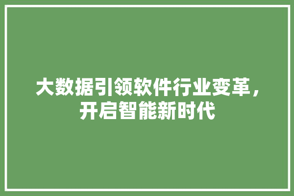 大数据引领软件行业变革，开启智能新时代