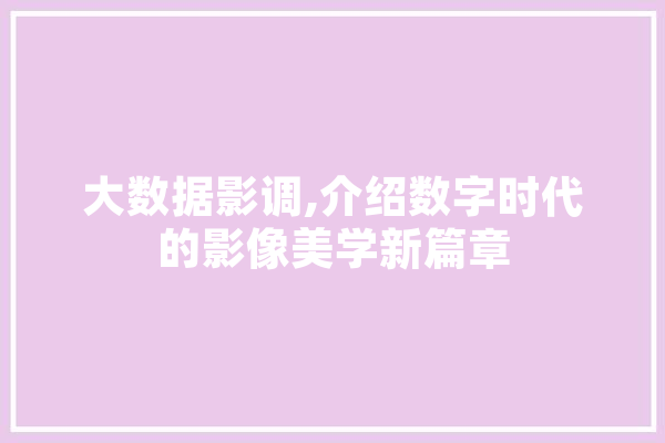 大数据影调,介绍数字时代的影像美学新篇章 智能写作
