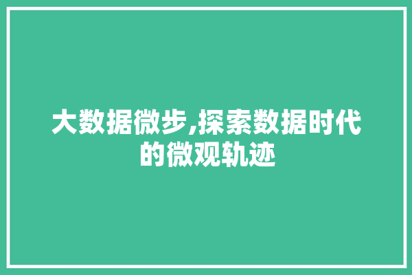 大数据微步,探索数据时代的微观轨迹 AI简讯