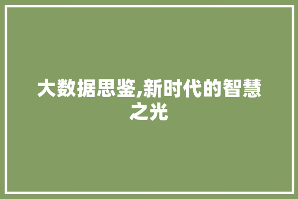 大数据思鉴,新时代的智慧之光