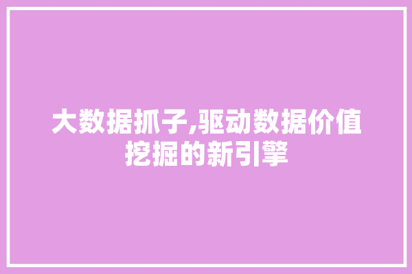 大数据抓子,驱动数据价值挖掘的新引擎