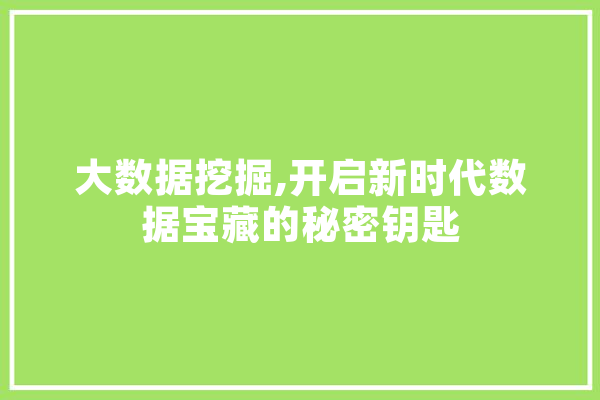 大数据挖掘,开启新时代数据宝藏的秘密钥匙 智能写作