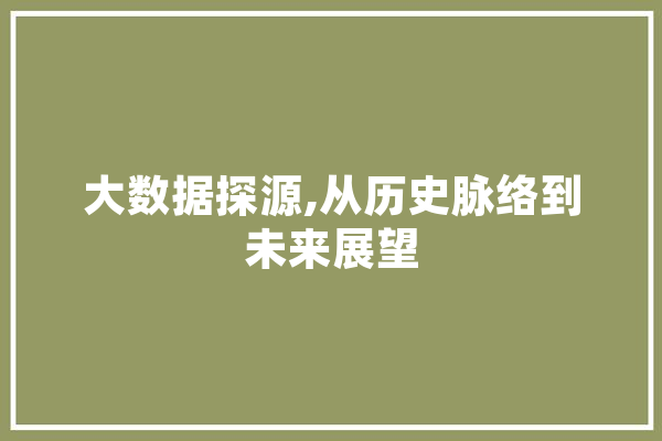 大数据探源,从历史脉络到未来展望 智能助手