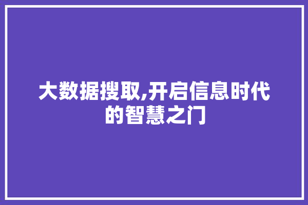 大数据搜取,开启信息时代的智慧之门