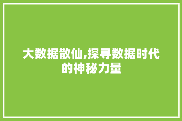 大数据散仙,探寻数据时代的神秘力量