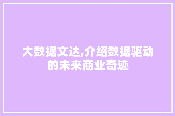 大数据文达,介绍数据驱动的未来商业奇迹 智能助手