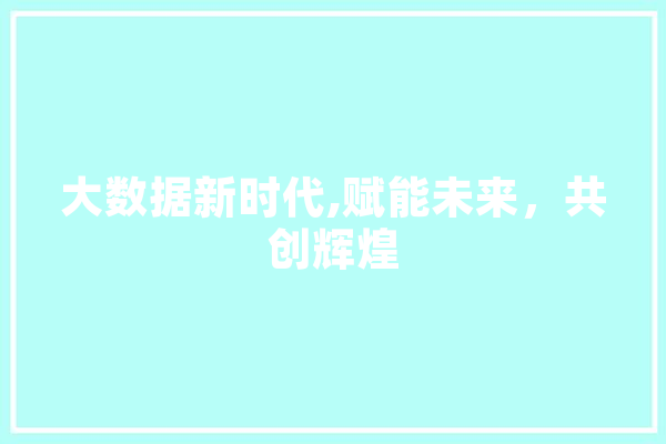 大数据新时代,赋能未来，共创辉煌