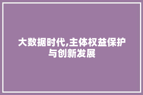大数据时代,主体权益保护与创新发展 科技快讯