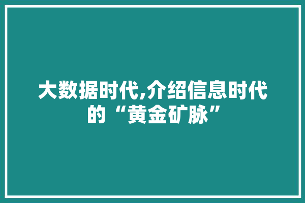 大数据时代,介绍信息时代的“黄金矿脉”