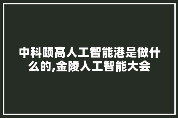 中科颐高人工智能港是做什么的,金陵人工智能大会 绘影字幕