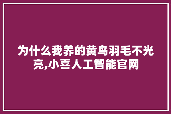 为什么我养的黄鸟羽毛不光亮,小喜人工智能官网 智能助手