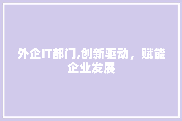 外企IT部门,创新驱动，赋能企业发展