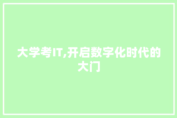 大学考IT,开启数字化时代的大门