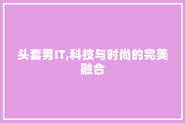 头套男IT,科技与时尚的完美融合
