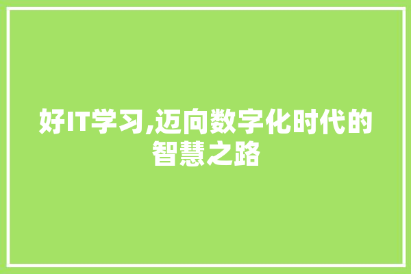 好IT学习,迈向数字化时代的智慧之路