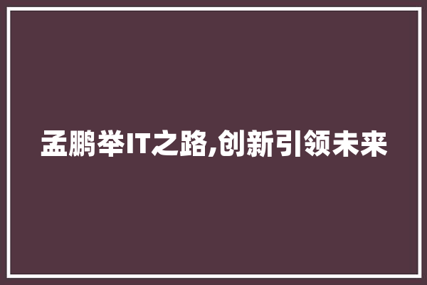 孟鹏举IT之路,创新引领未来