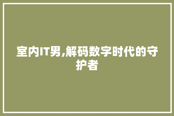 室内IT男,解码数字时代的守护者